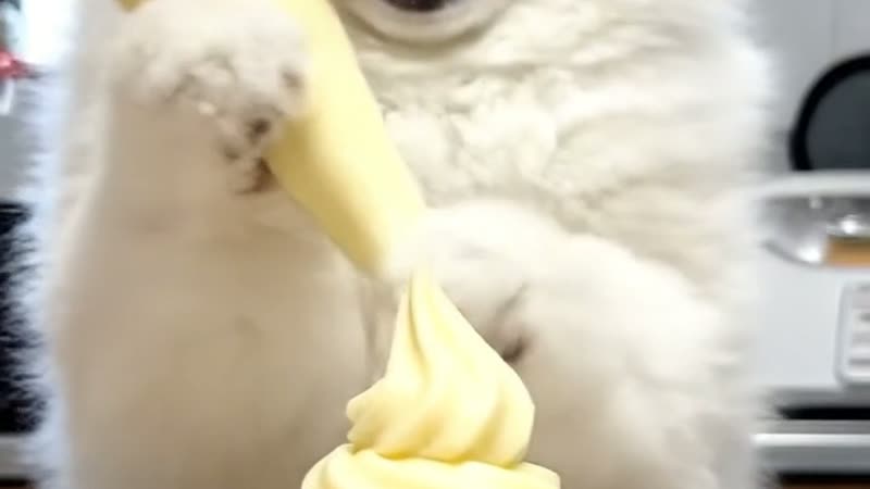 マッシュポテトはポリ袋で作ると洗い物ゼロ【もみもみするだけ】